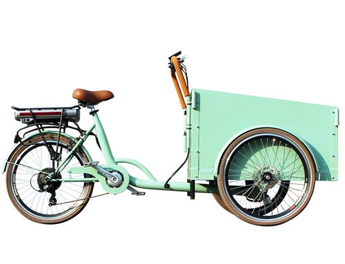 Urban Spaces with Ease: Unveiling the 20 Zoll Laufrad Lastenrad
