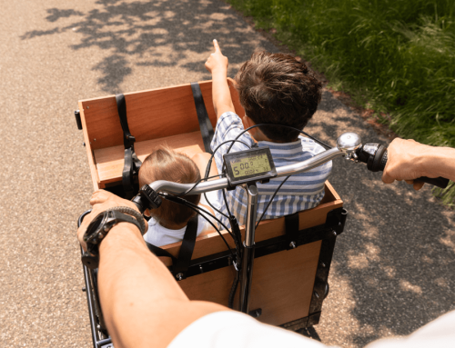 Triplet Joyride: Exploring the Three-Wheel Bike with Child Seat
